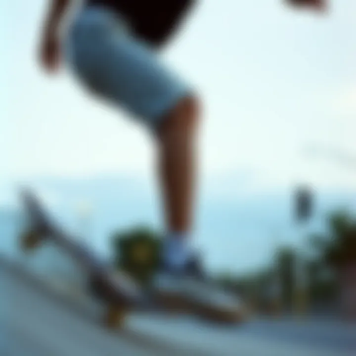 Magnificent An In-Depth Exploration of Bleach Resistant Shorts in Skate Culture
