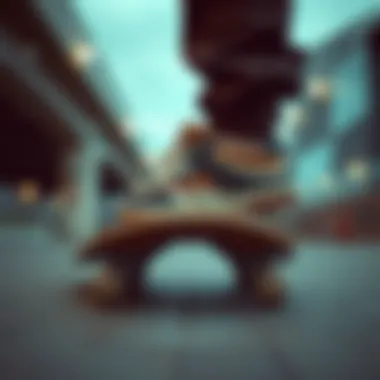 Magnificent Exploring the Significance of Fila Brown Shoes in Skate Culture