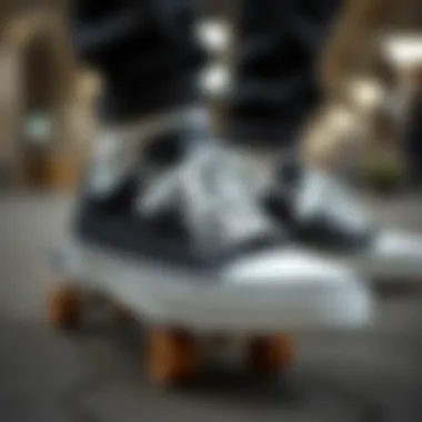 Magnificent The Intricacies of Black and White Canvas Sneakers in Skate Culture