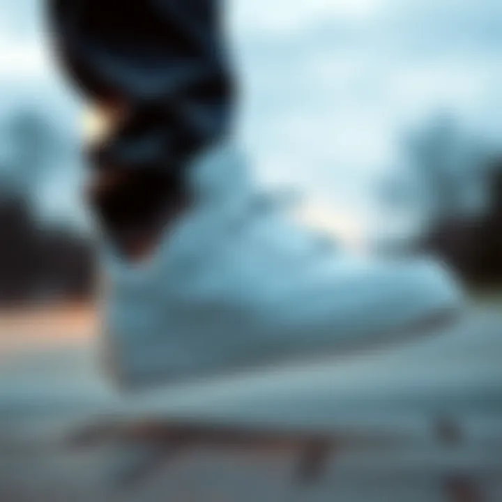 A Comprehensive Look at Air Force 1 Skate Shoes Introduction