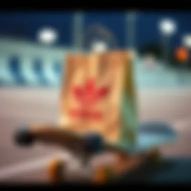 An Adidas shopping bag placed on a skateboard, highlighting its practical use