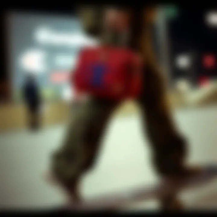 Fashionable collaborations featuring the Champion bag in contemporary skate fashion