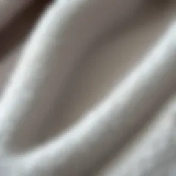 A close-up of soft club fleece fabric highlighting texture and quality