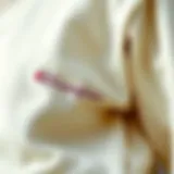 A close-up of the Cream Champion sweatshirt showcasing its unique fabric texture