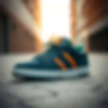 The Emerica Wino showcasing its sleek design and unique colorways