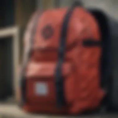 Close-up of Herschel Day Pack features and materials