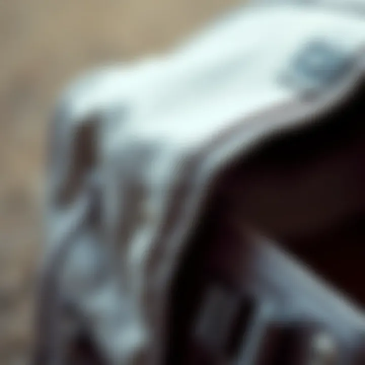 Close-up of high-quality materials used in the Herschel shoe bag