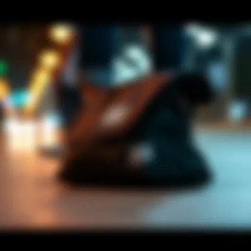 Sleek design of the Herschel shoe bag showcasing its modern aesthetic