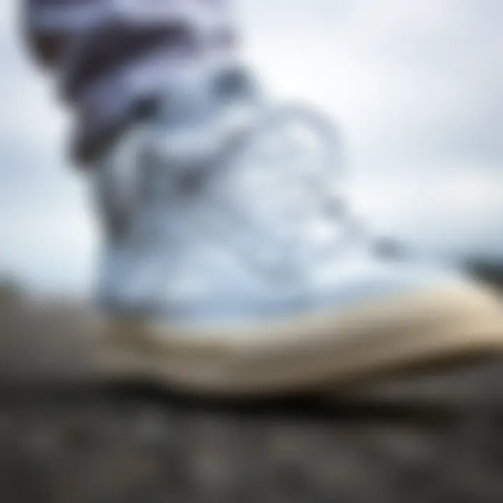 Comparison of Nike Blazer Mid '77 with other skate shoes