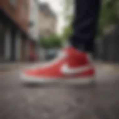 Detailed Design of Nike Blazer Nike Blazer skate shoe showcasing a detailed design
