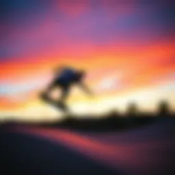 Exploring Nike SB Frees: A Pursuit of Skateboarding Excellence Introduction