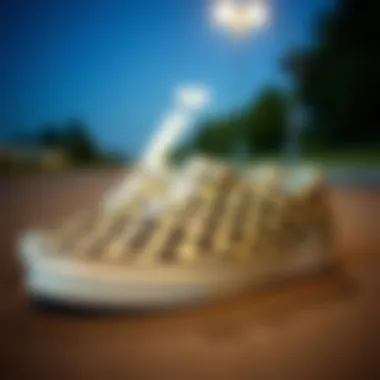 The Iconic Checkerboard Design of Vans Classic Vans shoes showcasing their iconic checkerboard pattern