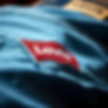 Close-up of the stitching and design of Levi's light blue jeans