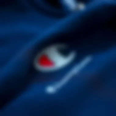 Close-up of the Big C Champion sweatshirt showcasing its fabric texture