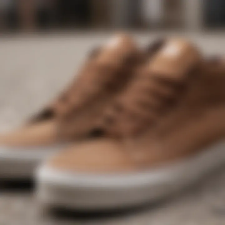 Close-up of brown Vans sneakers highlighting their design and texture.