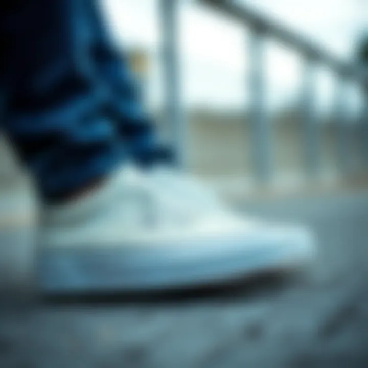 Diverse price range of Vans sneakers