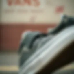 Close-up of Velcro strap on Vans shoes showcasing durability