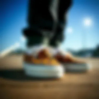 Exploring Vans Animal Print Slip-Ons: A Deep Dive into Style and Utility Introduction Exploring Vans Animal Print Slip-Ons: A Deep Dive into Style and Utility Introduction