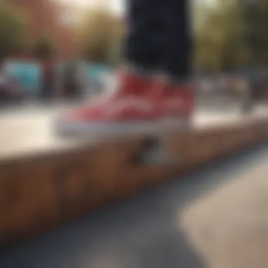 Vans in Action: The Heart of Skate Culture Vans shoes featured in a vibrant skate park setting.