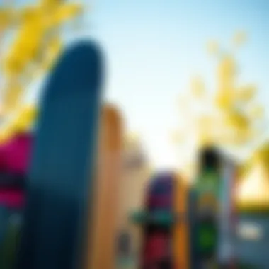 An overview of different skateboard types displayed in a vibrant outdoor setting