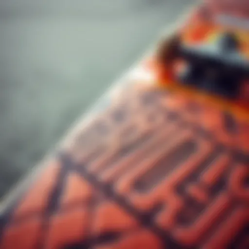 Close-up of Grizzly Grip Tape on skateboard deck