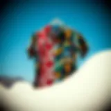 A collection of hundred shirts showcasing diverse designs