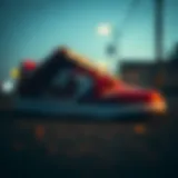 The iconic silhouette of the Nike Dunk Low Pro showcasing its sleek design.