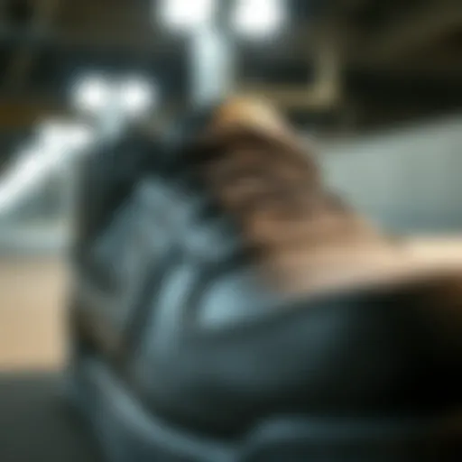 Close-up view of Nike SB Force 58 shoes showcasing their design details