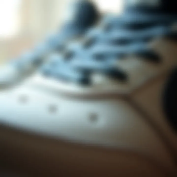 Close-up of Nike SB Nyjah Free materials