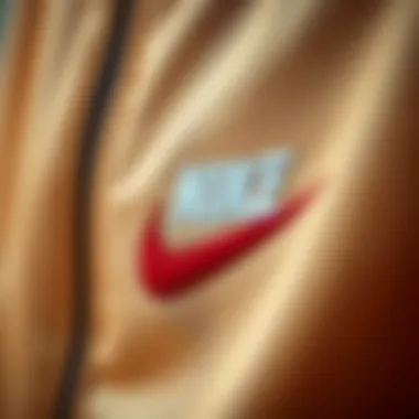 Close-up of the fabric and features of the Nike SB tracksuit