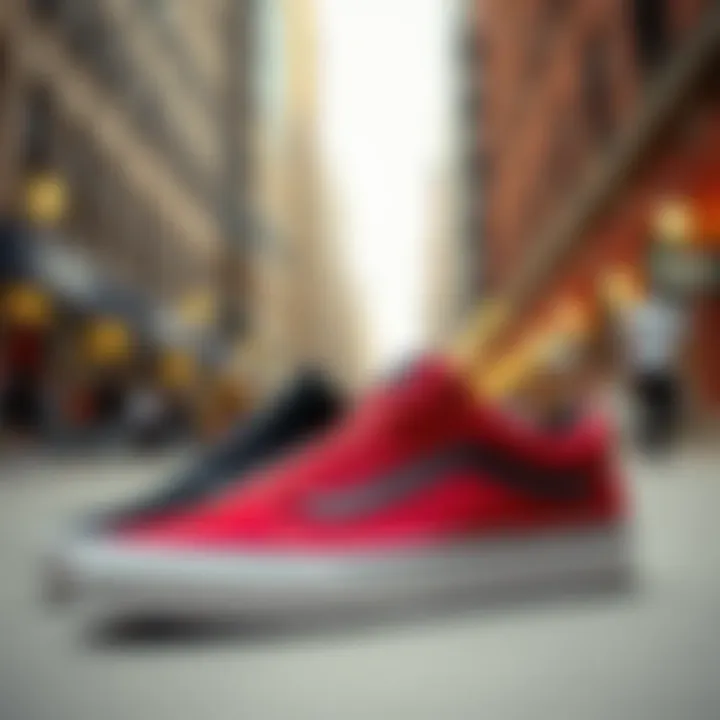 Vans skate shoes displayed in an urban setting, emphasizing their cultural significance