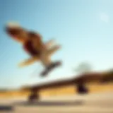 Dynamic performance of Flying Eagle skates in action