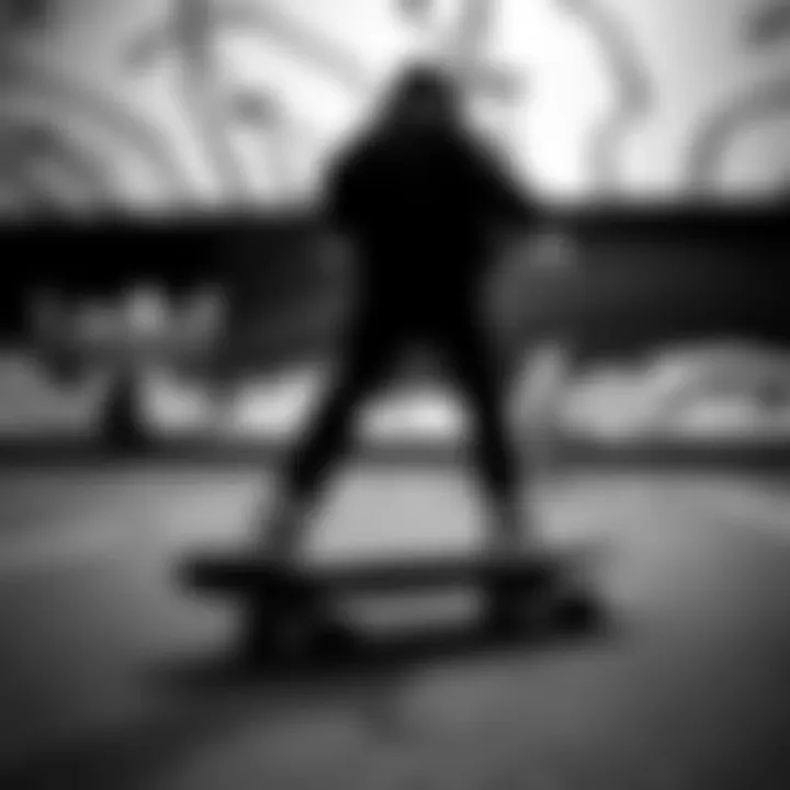 Artistic Representation of Skate Culture Abstract art representing the fusion of black and white in skate culture