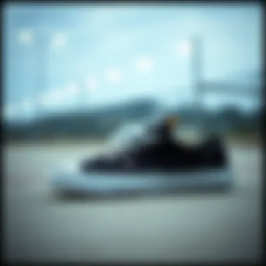 The Intricacies of Black and White Canvas Sneakers in Skate Culture Introduction The Intricacies of Black and White Canvas Sneakers in Skate Culture Introduction