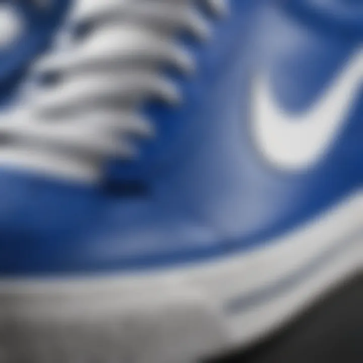 Close-up of royal blue and white Nike sneaker detailing