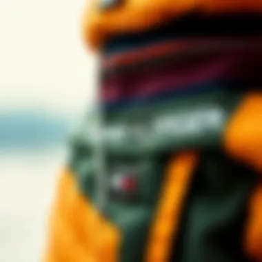 Fabric and Design Details of the Matching Set Close-up of the fabric and design details of a Tommy Hilfiger matching set