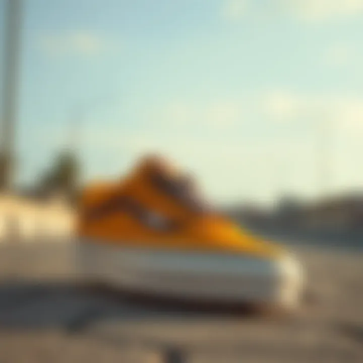 Cultural Impact of Vans Chukka Low