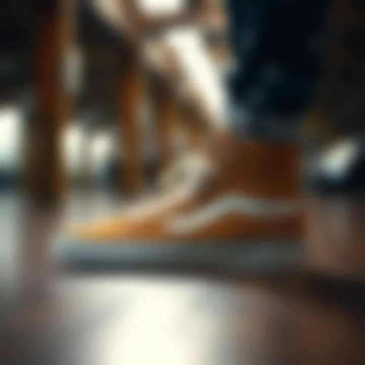 Classic Aesthetic of the Vans Suede Hi Top Vans Suede Hi Top showcasing its classic design