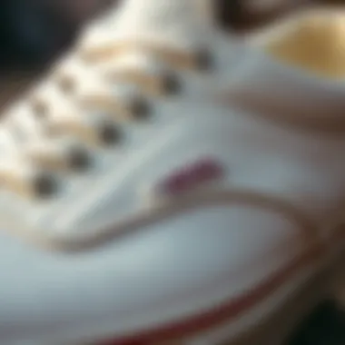 Detail of White Leather Texture Close-up of white leather texture on Vans low tops